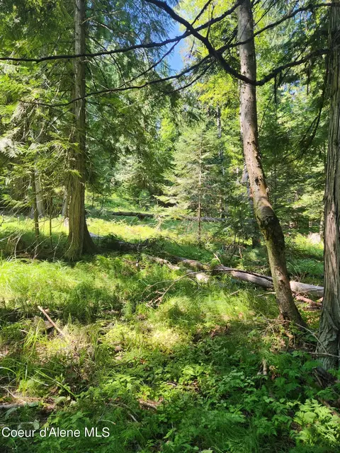 Reserve Ln, Sandpoint, ID 83864 photo 11
