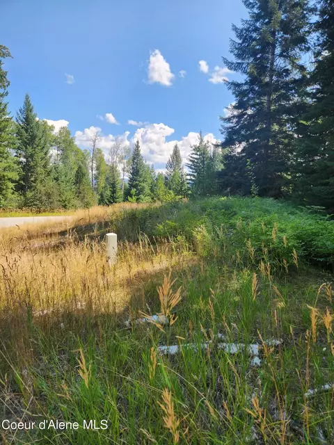 Reserve Ln, Sandpoint, ID 83864 photo 29