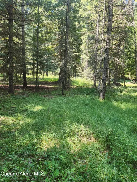 Reserve Ln, Sandpoint, ID 83864 photo 4