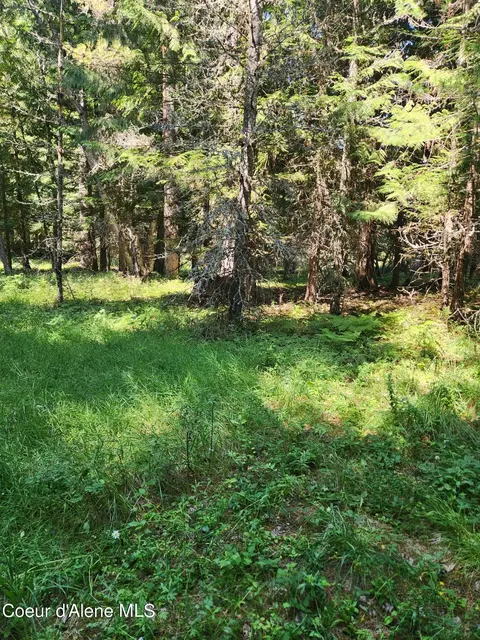 Reserve Ln, Sandpoint, ID 83864 photo 3