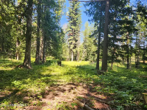 Reserve Ln, Sandpoint, ID 83864 photo 18