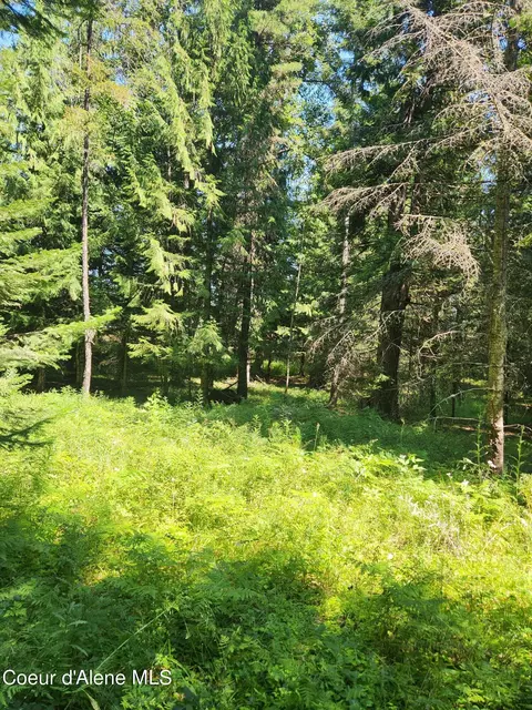 Reserve Ln, Sandpoint, ID 83864 photo 8