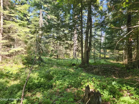 Reserve Ln, Sandpoint, ID 83864 photo 15