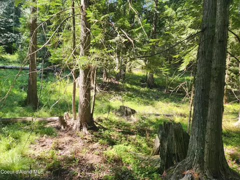 Reserve Ln, Sandpoint, ID 83864 photo 16