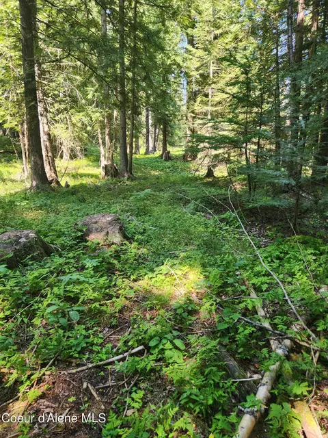 Reserve Ln, Sandpoint, ID 83864 photo 12