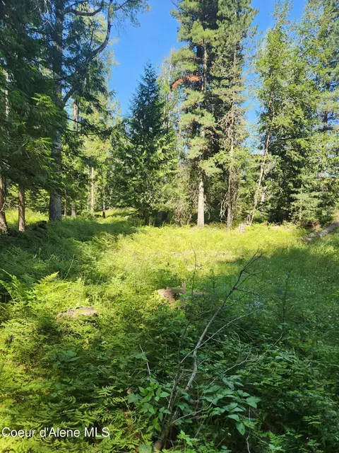 Reserve Ln, Sandpoint, ID 83864 photo 22