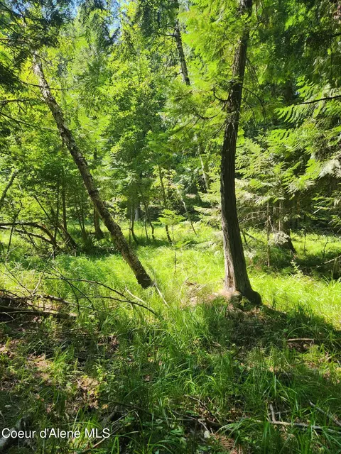 Reserve Ln, Sandpoint, ID 83864 photo 10