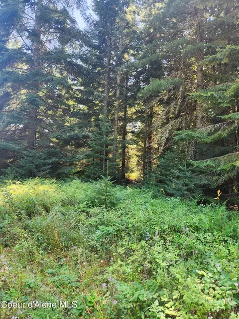 Reserve Ln, Sandpoint, ID 83864 photo 32