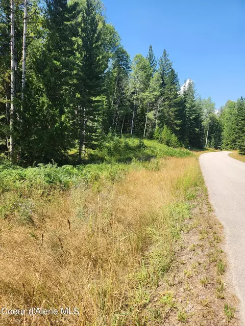 Reserve Ln, Sandpoint, ID 83864 photo 27