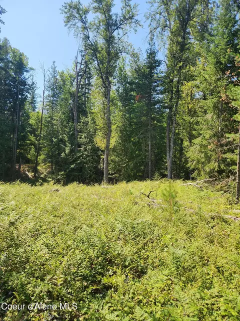 Reserve Ln, Sandpoint, ID 83864 photo 34