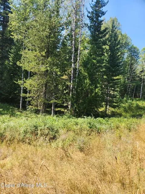 Reserve Ln, Sandpoint, ID 83864 photo 28