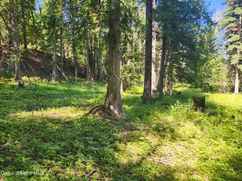 Reserve Ln, Sandpoint, ID 83864 photo 19