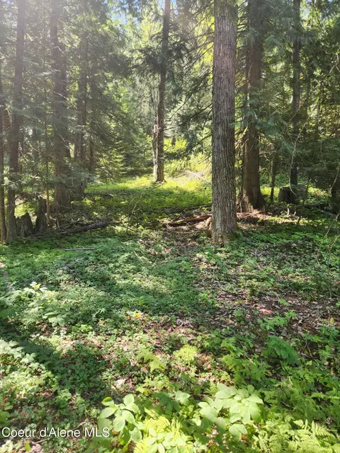Reserve Ln, Sandpoint, ID 83864 photo 20
