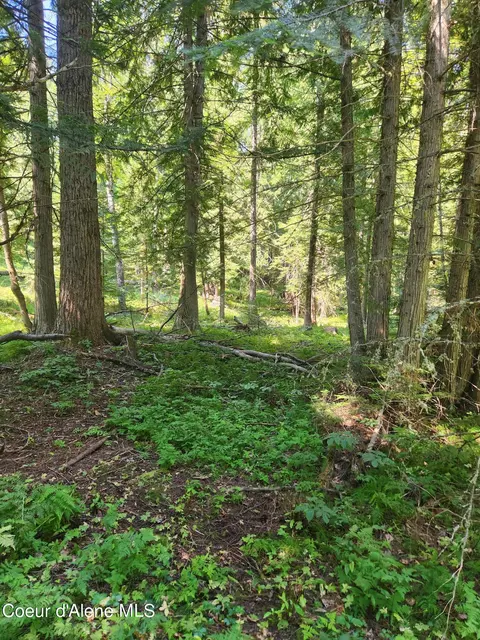 Reserve Ln, Sandpoint, ID 83864 photo 9