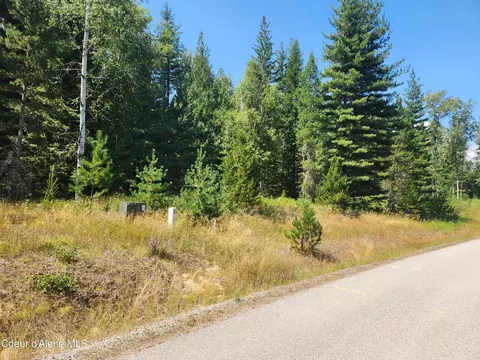 Reserve Ln, Sandpoint, ID 83864 photo 26