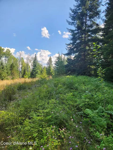 Reserve Ln, Sandpoint, ID 83864 photo 30