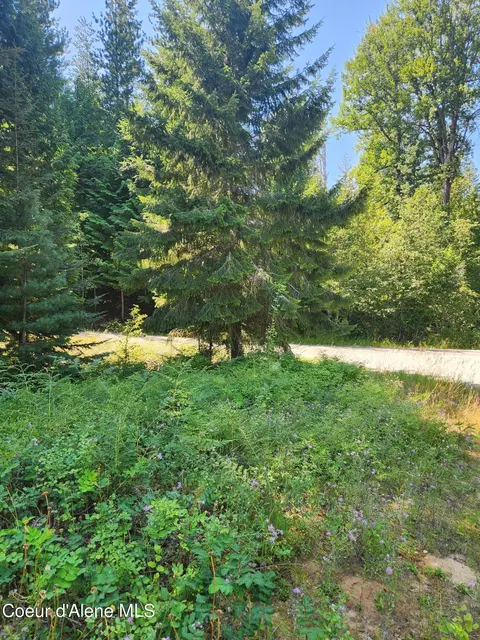 Reserve Ln, Sandpoint, ID 83864 photo 31