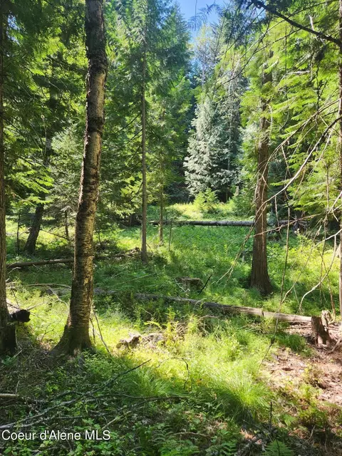 Reserve Ln, Sandpoint, ID 83864 photo 17