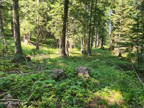 Reserve Ln, Sandpoint, ID 83864 photo 13