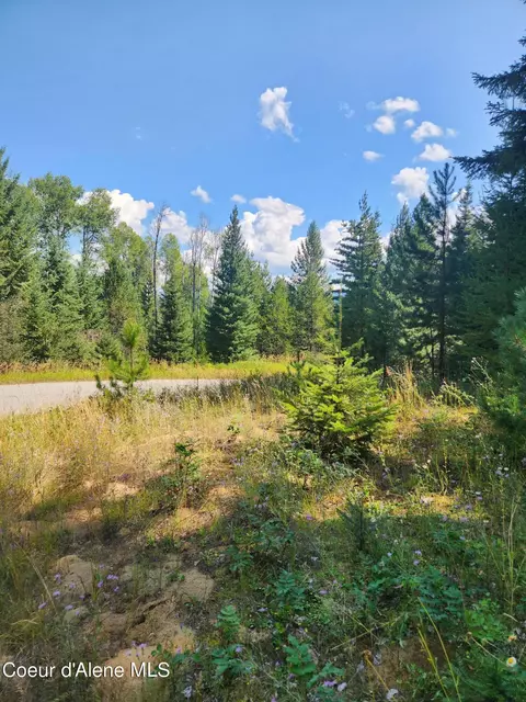 Reserve Ln, Sandpoint, ID 83864 photo 33