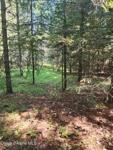Reserve Ln, Sandpoint, ID 83864 photo 5