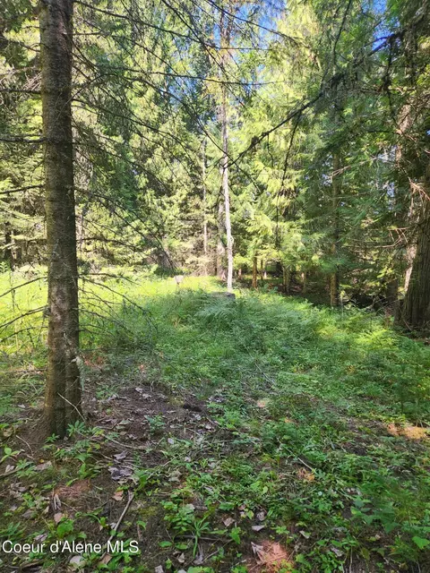 Reserve Ln, Sandpoint, ID 83864 photo 7