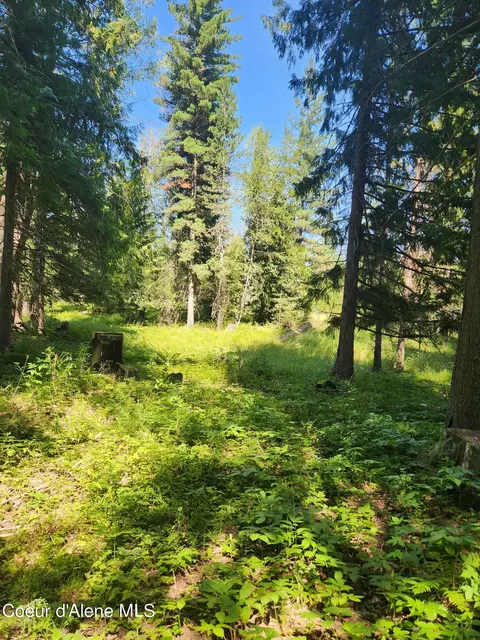 Reserve Ln, Sandpoint, ID 83864 photo 21