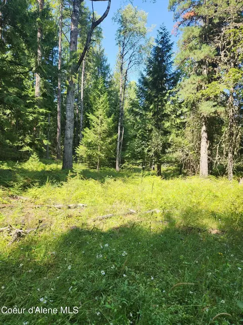 Reserve Ln, Sandpoint, ID 83864 photo 24