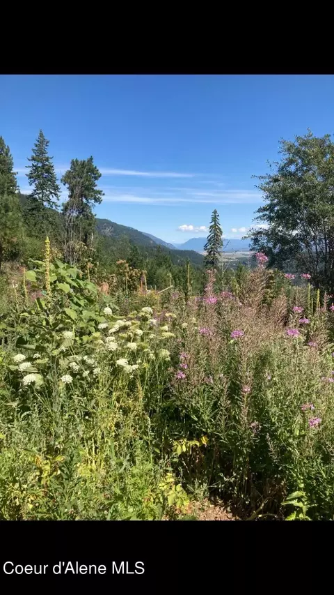 Nka Juniper Ln, Naples, ID 83847 photo 38