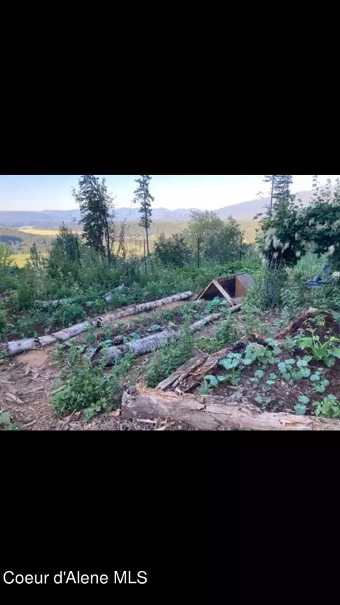 Nka Juniper Ln, Naples, ID 83847 photo 39