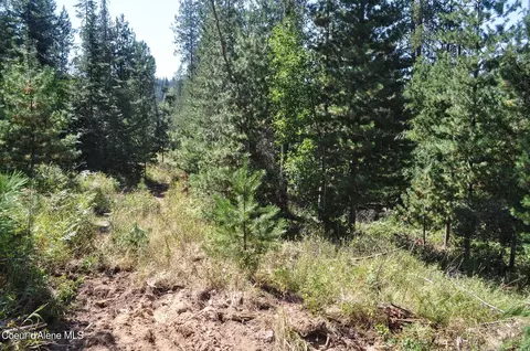 697 Weir Gulch Rd, Pinehurst, ID 83850 photo 39