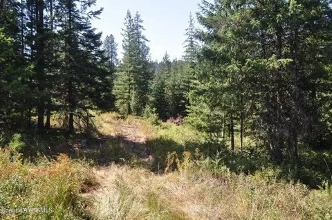 697 Weir Gulch Rd, Pinehurst, ID 83850 photo 36
