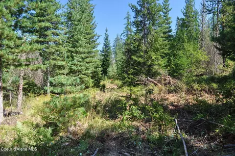697 Weir Gulch Rd, Pinehurst, ID 83850 photo 45