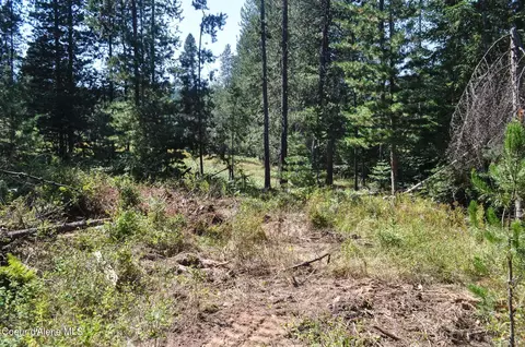 697 Weir Gulch Rd, Pinehurst, ID 83850 photo 43