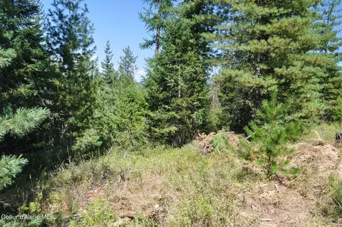 697 Weir Gulch Rd, Pinehurst, ID 83850 photo 41