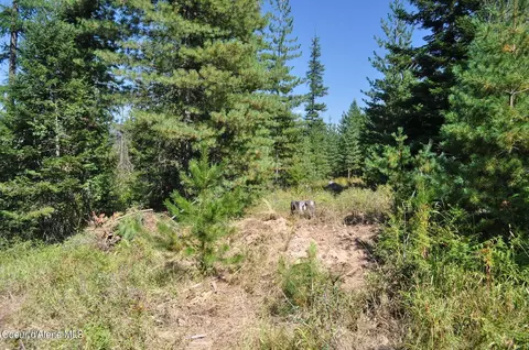 697 Weir Gulch Rd, Pinehurst, ID 83850 photo 40