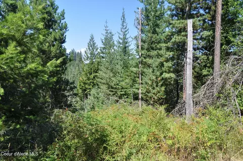 697 Weir Gulch Rd, Pinehurst, ID 83850 photo 42