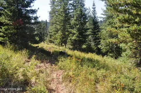 697 Weir Gulch Rd, Pinehurst, ID 83850 photo 38