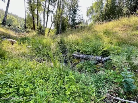 322 E Park Dr, Kellogg, ID 83837 photo 16
