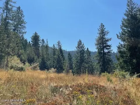 5590 E Half Round Bay Rd, Harrison, ID 83833 photo 6