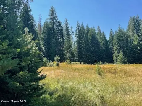5590 E Half Round Bay Rd, Harrison, ID 83833 photo 10