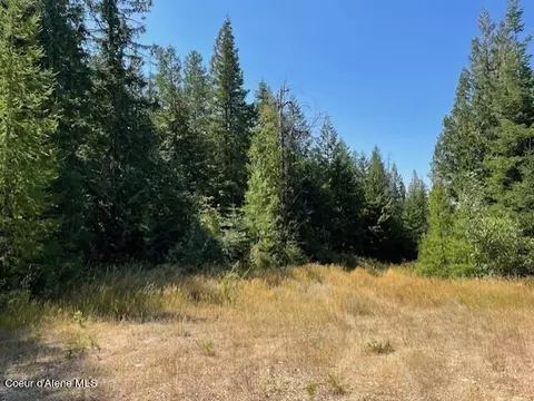 5590 E Half Round Bay Rd, Harrison, ID 83833 photo 9