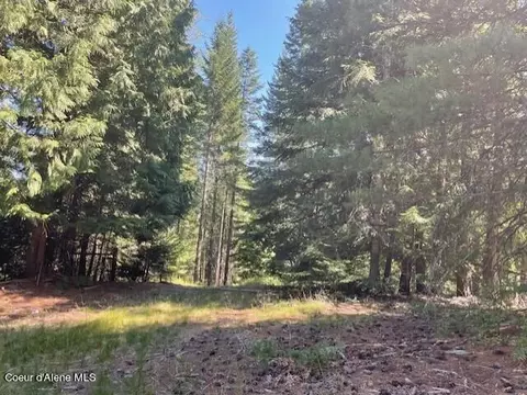 5590 E Half Round Bay Rd, Harrison, ID 83833 photo 39