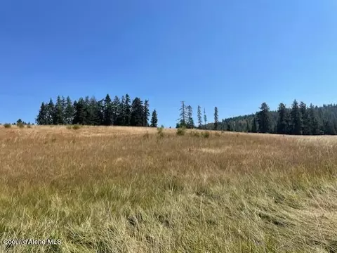 5590 E Half Round Bay Rd, Harrison, ID 83833 photo 13