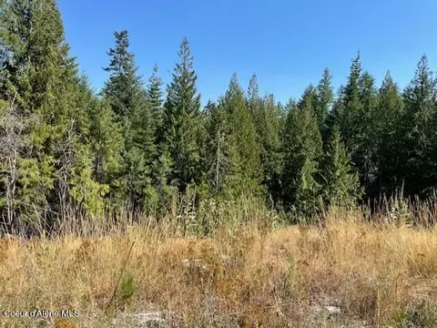 5590 E Half Round Bay Rd, Harrison, ID 83833 photo 38