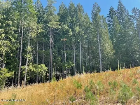 5590 E Half Round Bay Rd, Harrison, ID 83833 photo 36