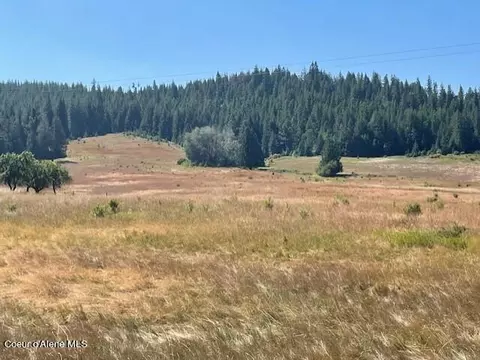 5590 E Half Round Bay Rd, Harrison, ID 83833 photo 3