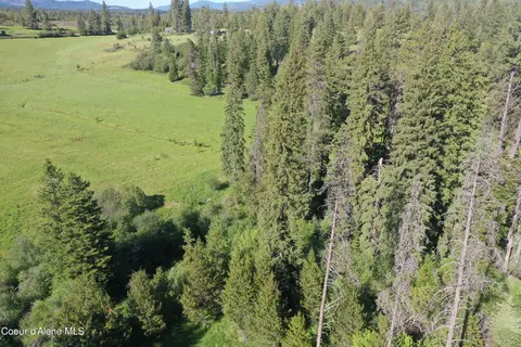 200 Windfall Pass Road, Saint Maries, ID 83861