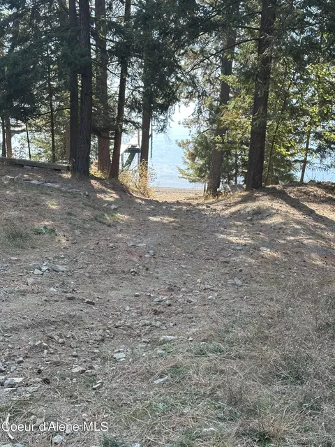 Nka Scotch Rd, Bayview, ID 83803 photo 16