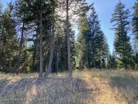 L4b10 N Walden Loop, Rathdrum, ID 83858 photo 3
